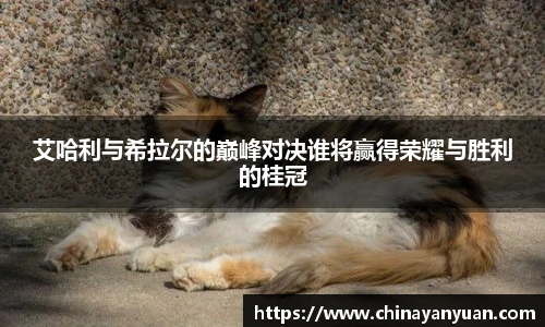 艾哈利与希拉尔的巅峰对决谁将赢得荣耀与胜利的桂冠